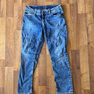 Silver Jeans Women's Classic Blue Skinny Jeans